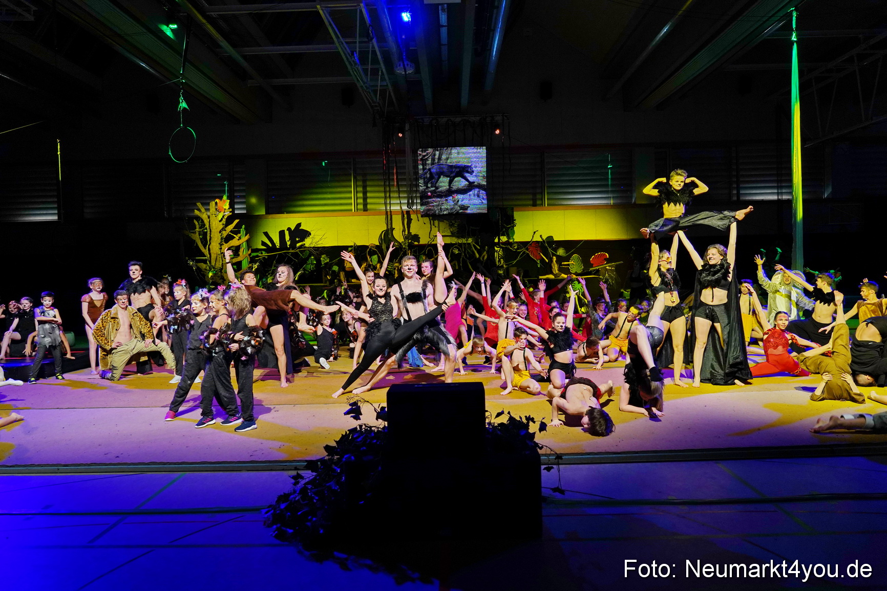 Artico Artistical Dschungelbuch 2020 0197